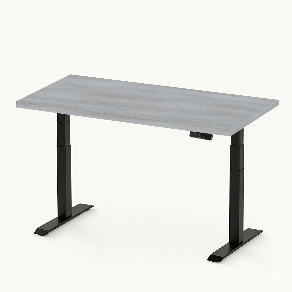 FlexiSpot E7 - Dual Motor Premium Standing Desk With Black Frame - Silver Ash