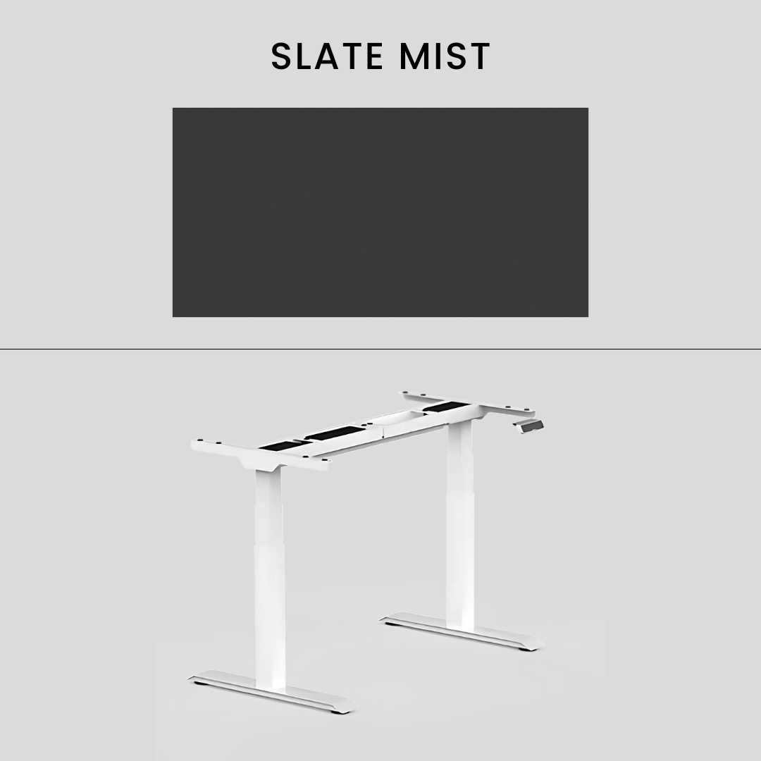 FlexiSpot E7 - Dual Motor Premium Standing Desk With White Frame