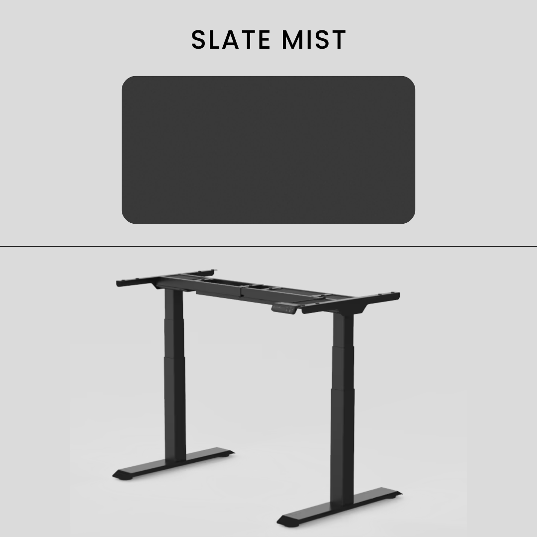 FlexiSpot E7 - Dual Motor Premium Standing Desk With Black Frame