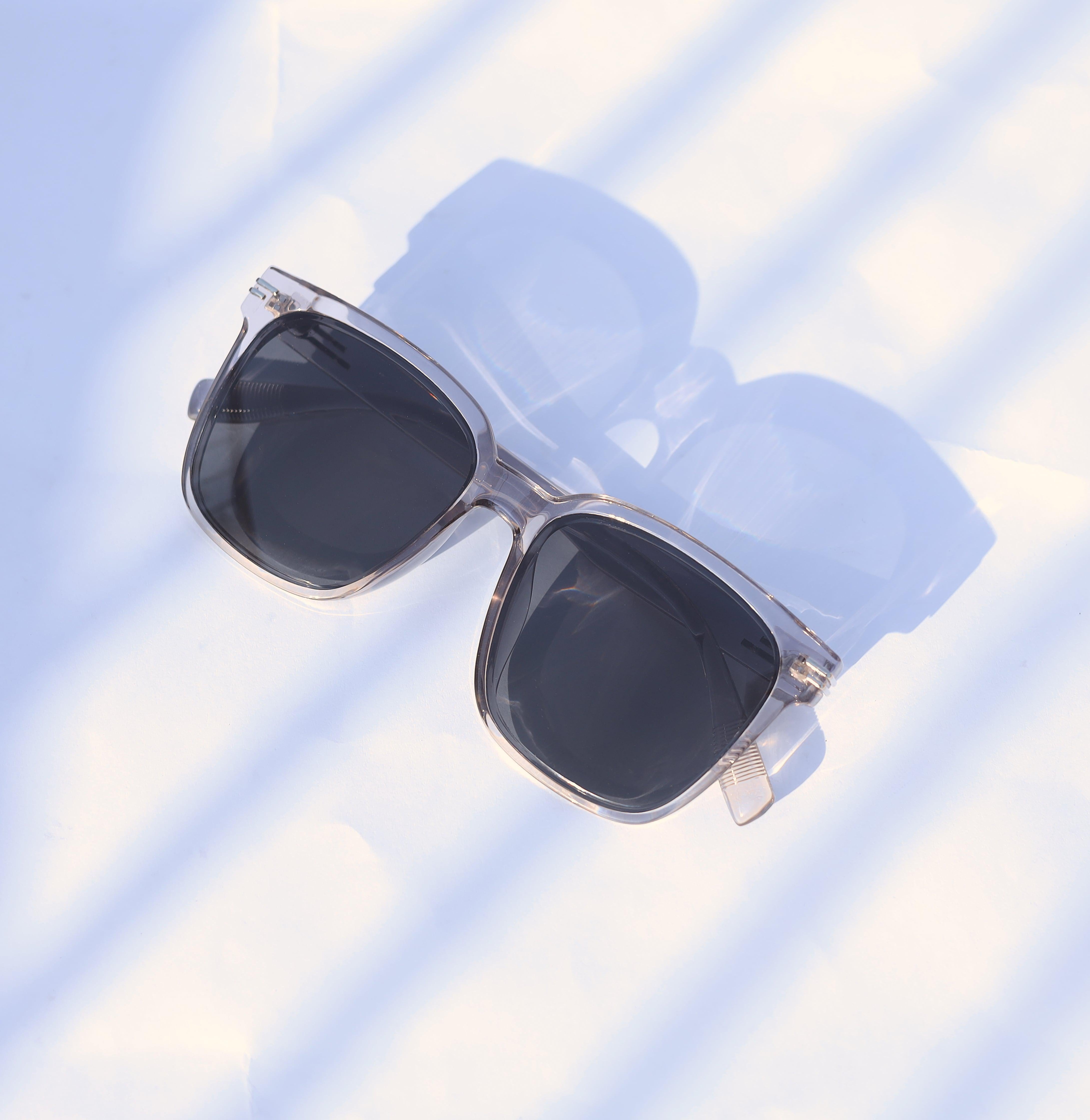 HALO Wayfarer Sunglasses-DIVERSITY
