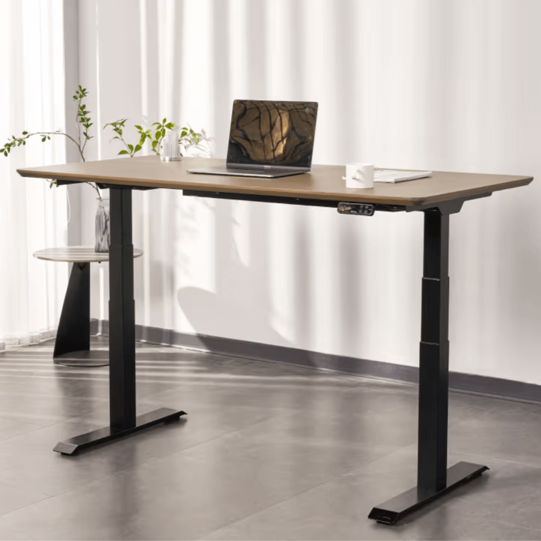FlexiSpot E7 - Dual Motor Premium Standing Desk With Black Frame - Pure Frost