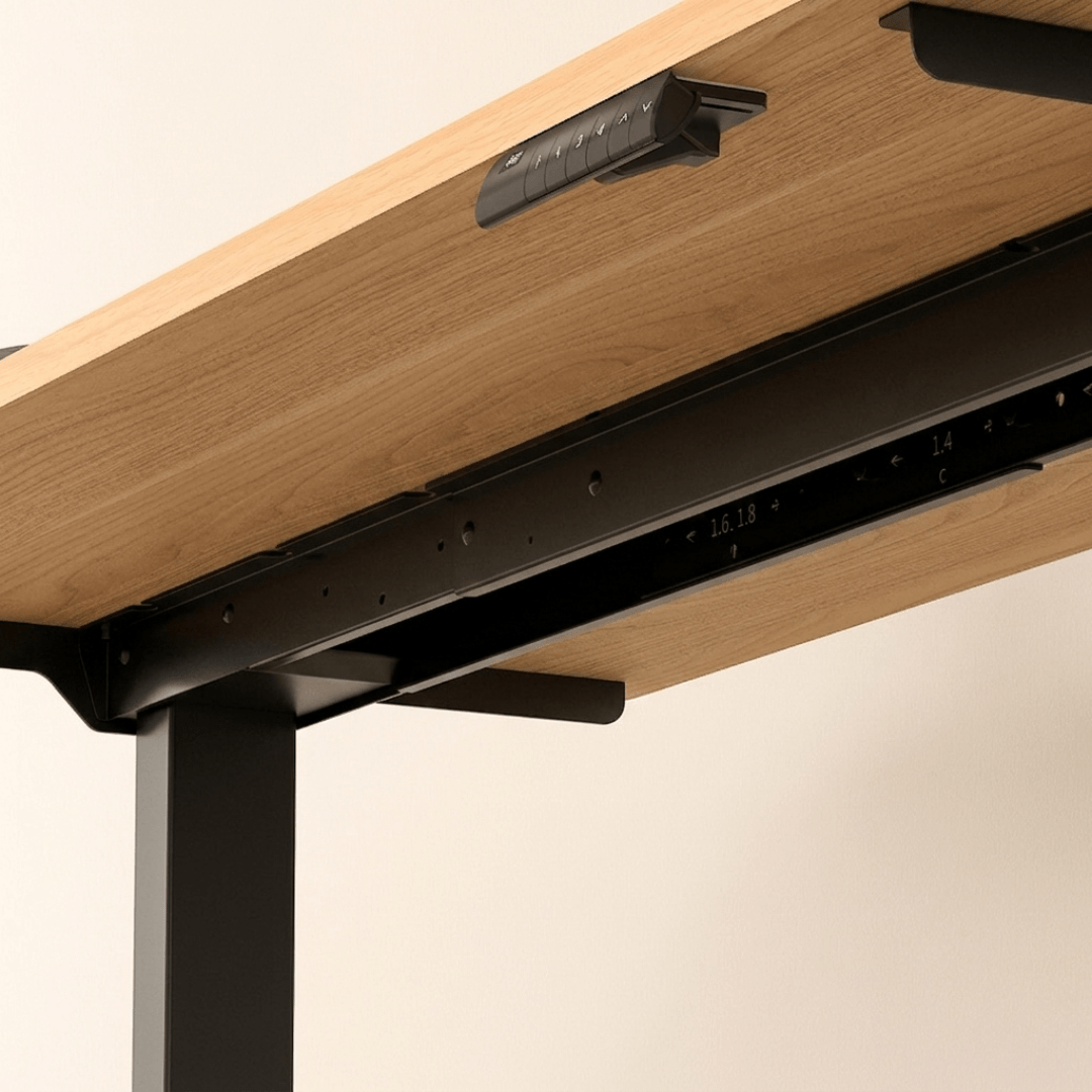 FlexiSpot E5 - Dual Motor 3-Stage Standing Desk