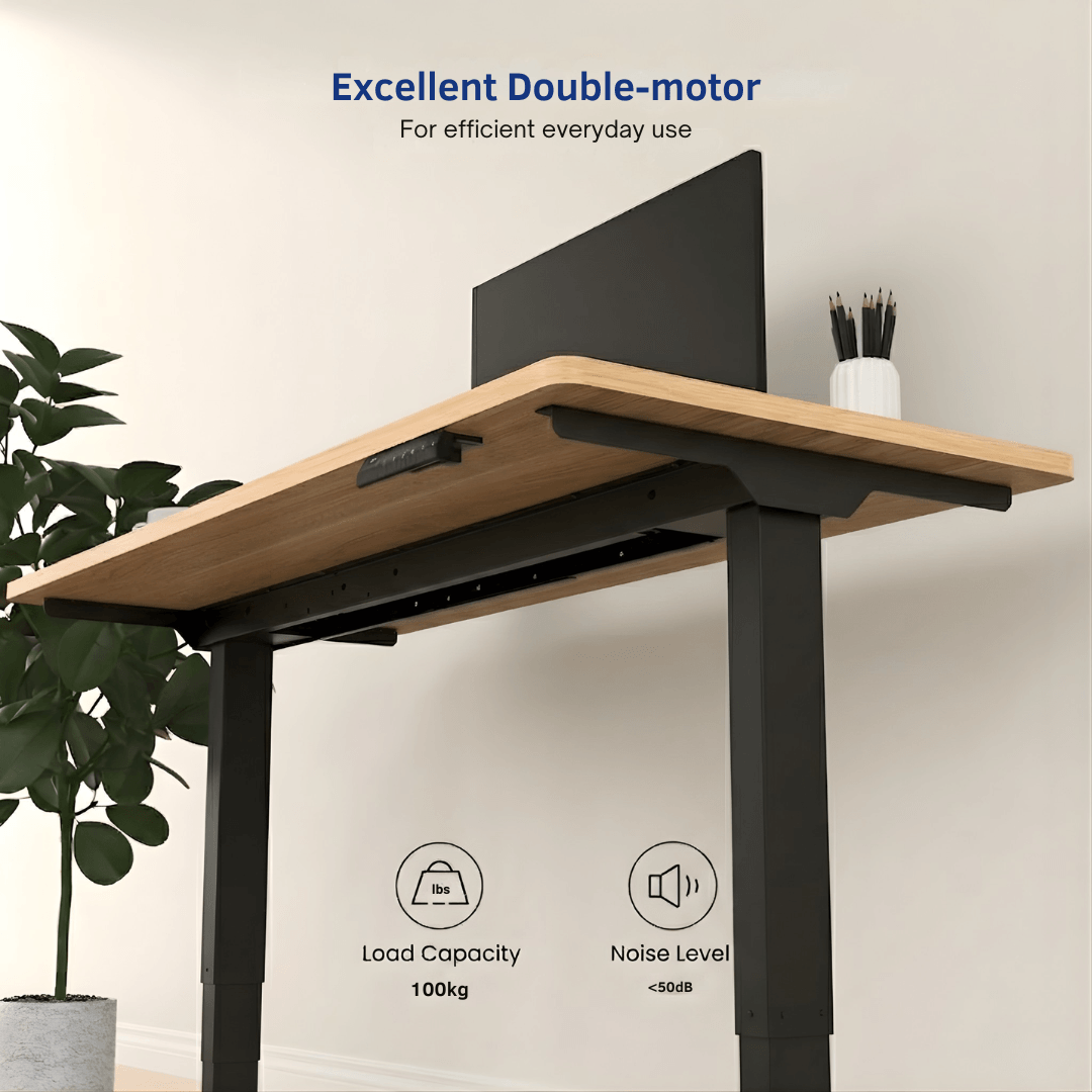 FlexiSpot E5 - Dual Motor 3-Stage Standing Desk