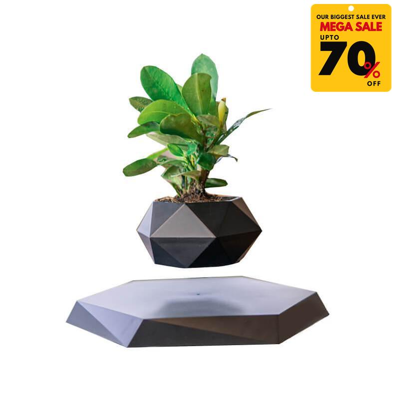 levitating plant