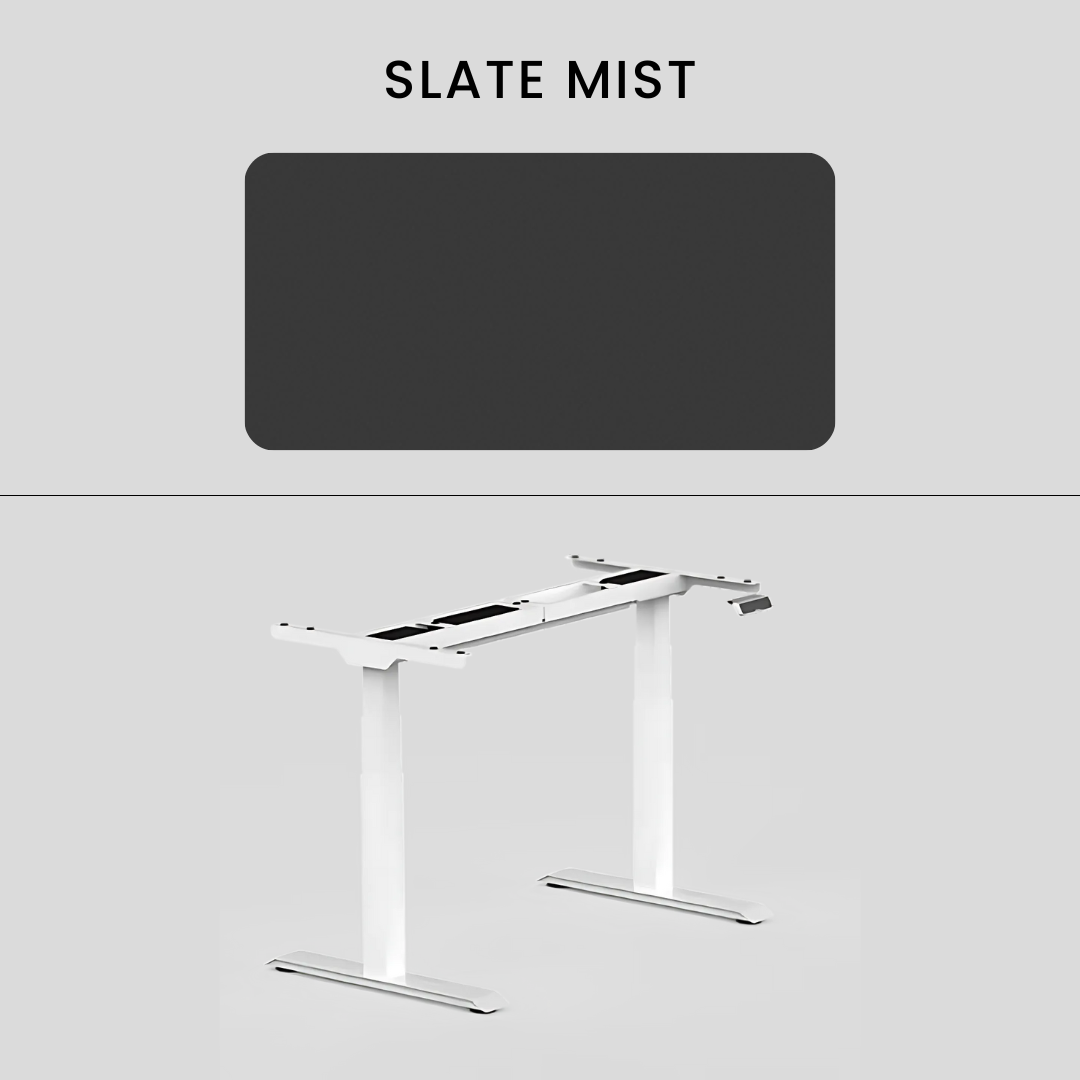 FlexiSpot E7 - Dual Motor Premium Standing Desk With White Frame