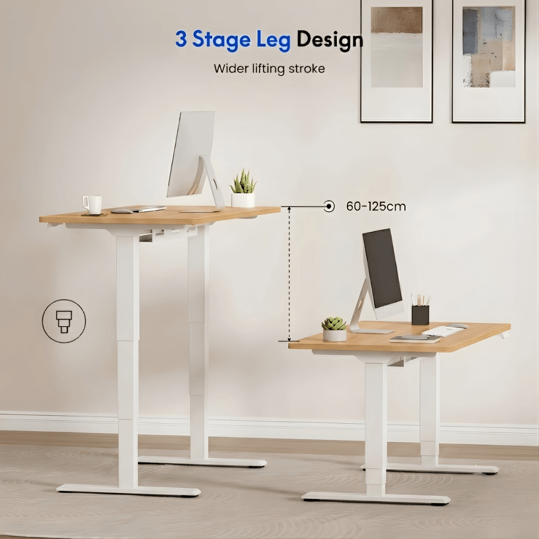 FlexiSpot E5 Lite - Dual Motor 3-Stage Standing Desk