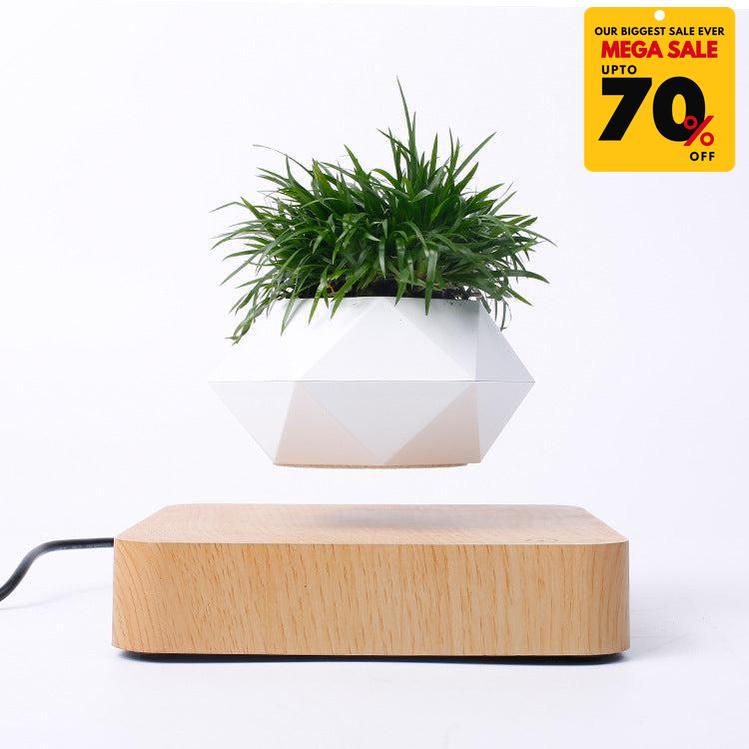 Levitating Planter Pot-DIVERSITY