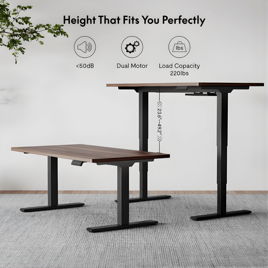 FlexiSpot E5 - Dual Motor 3-Stage Standing Desk