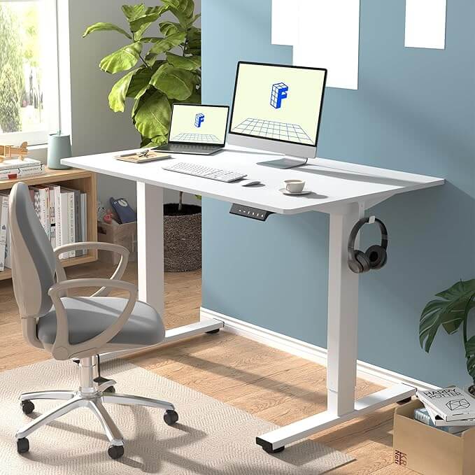 FlexiSpot EN1 - Standing Desk With White Frame