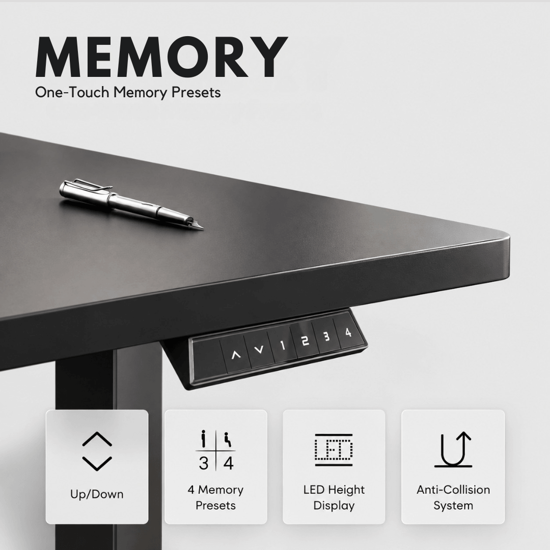 Flexispot EN1 - Single Motor Standing Desk With Black Top