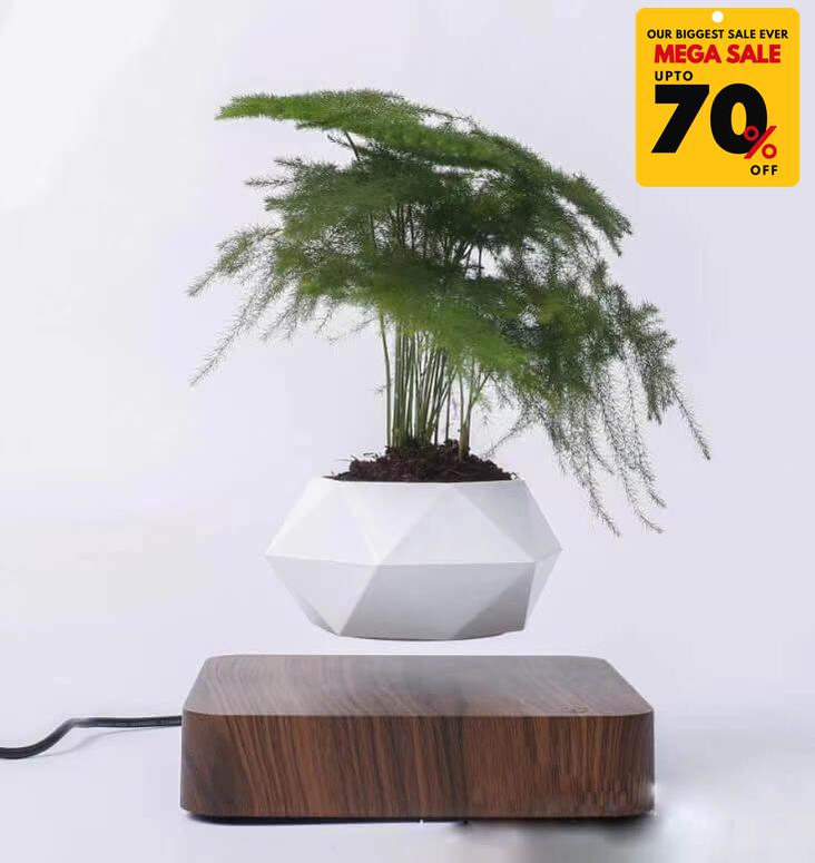 Levitating Planter Pot-DIVERSITY