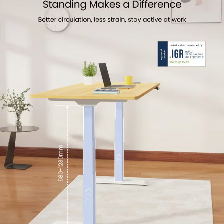 FlexiSpot E7 - Dual Motor Premium Standing Desk With White Frame