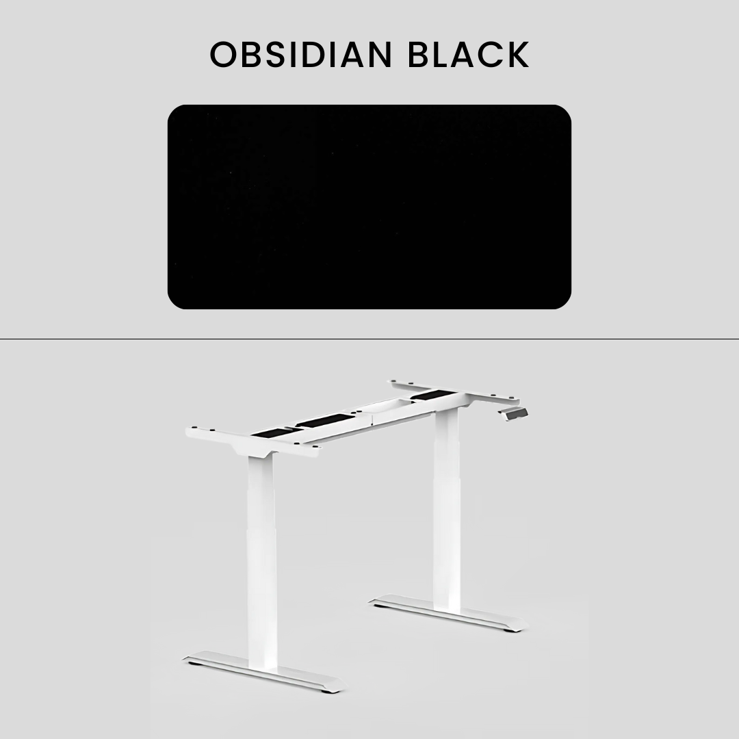 FlexiSpot E7 - Dual Motor Premium Standing Desk With White Frame - Obsidian Black