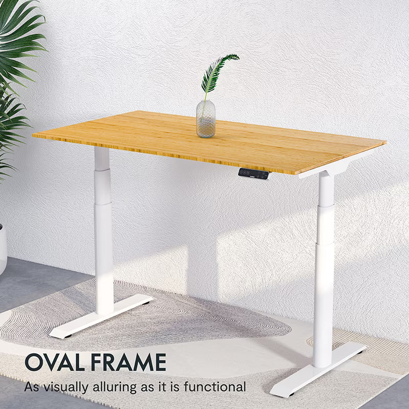 FlexiSpot E7 - Dual Motor Premium Standing Desk With White Frame