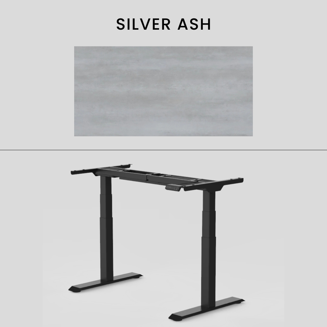 FlexiSpot E7 - Dual Motor Premium Standing Desk With Black Frame - Silver Ash