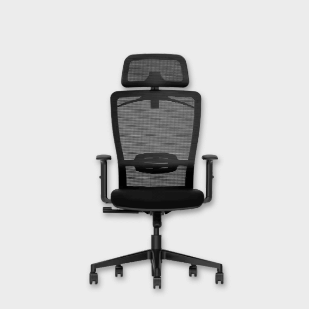 Flexispot BS3 - Ergonomic Swivel Office Chair