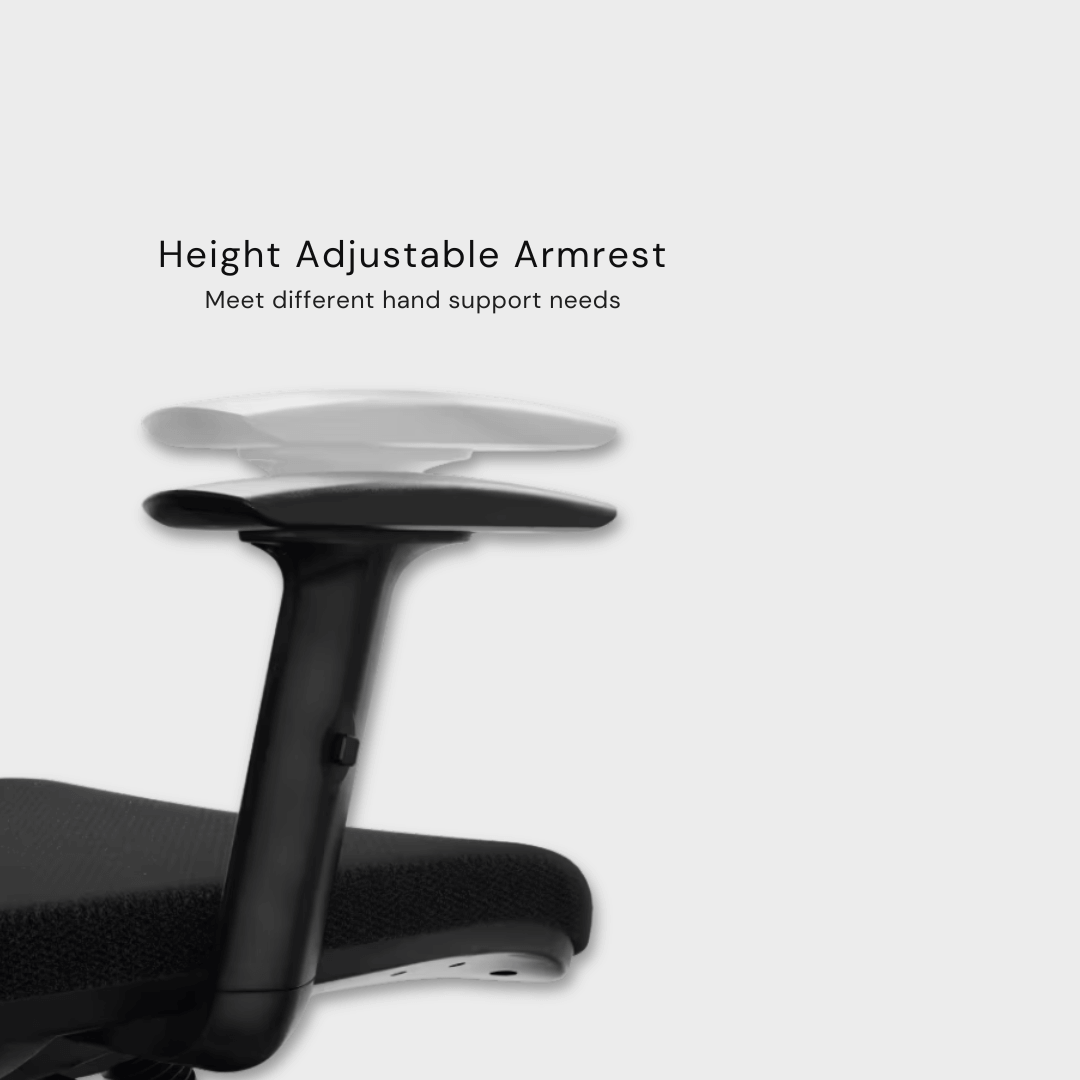 Flexispot BS3 - Ergonomic Swivel Office Chair