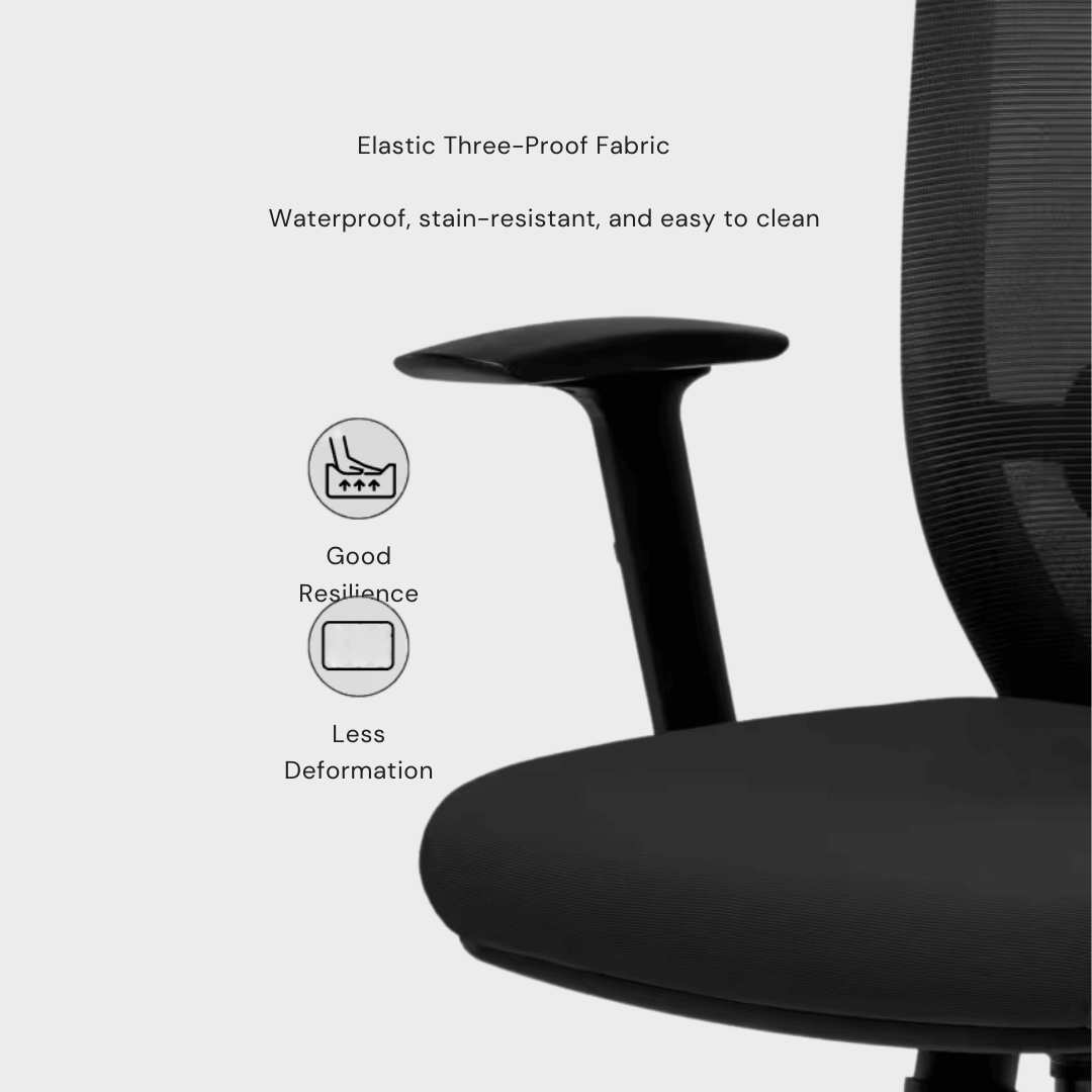 Flexispot BS3 - Ergonomic Swivel Office Chair