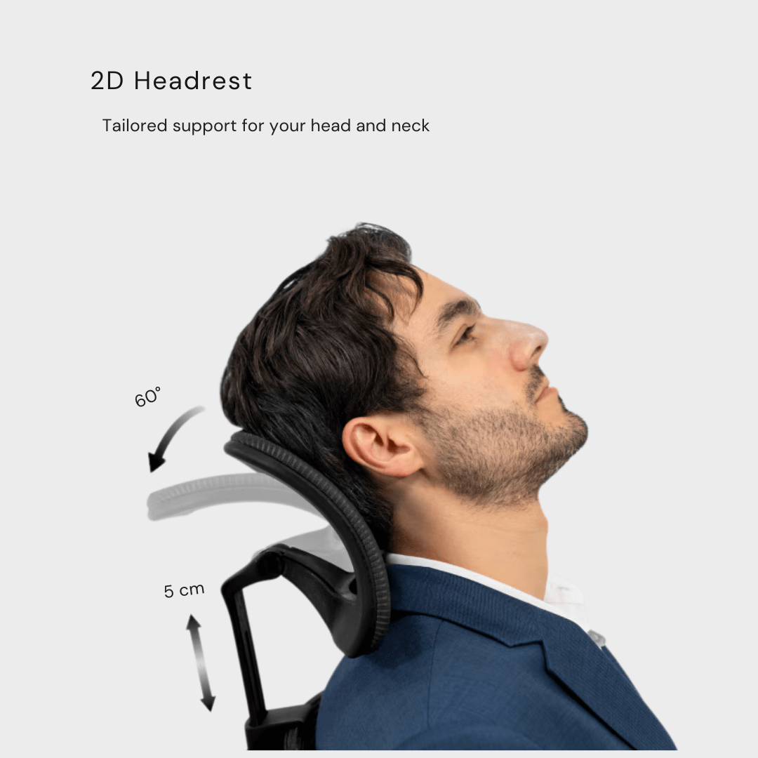 Flexispot BS3 - Ergonomic Swivel Office Chair