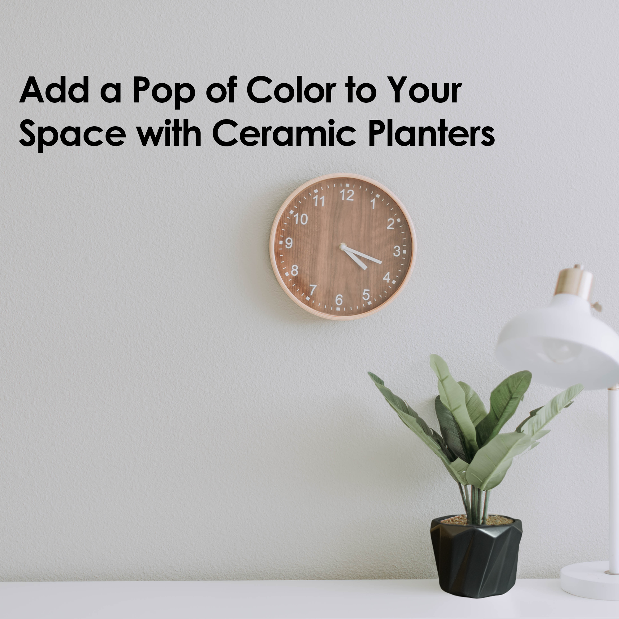 Ceramic Planter Pots-DIVERSITY