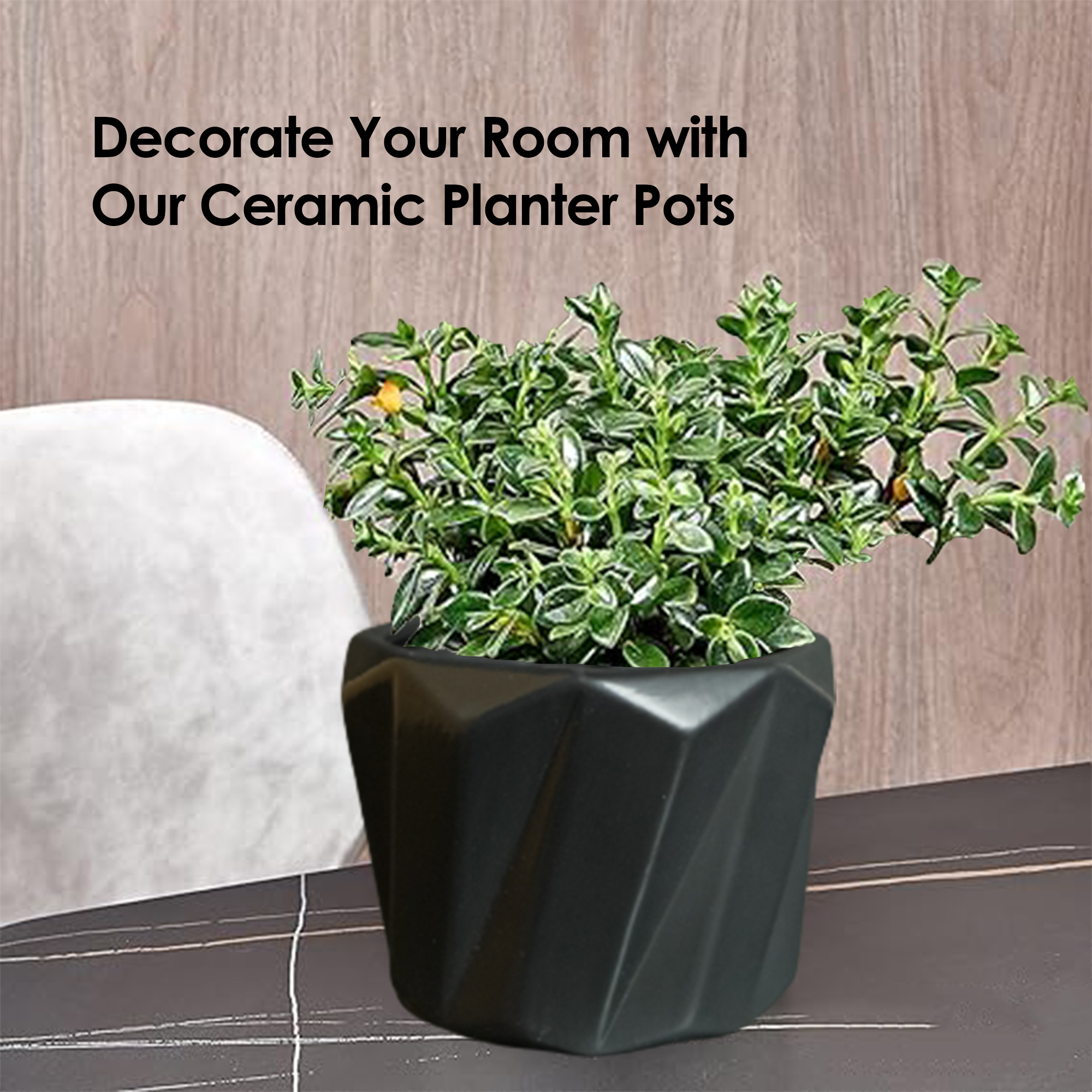 Ceramic Planter Pots-DIVERSITY