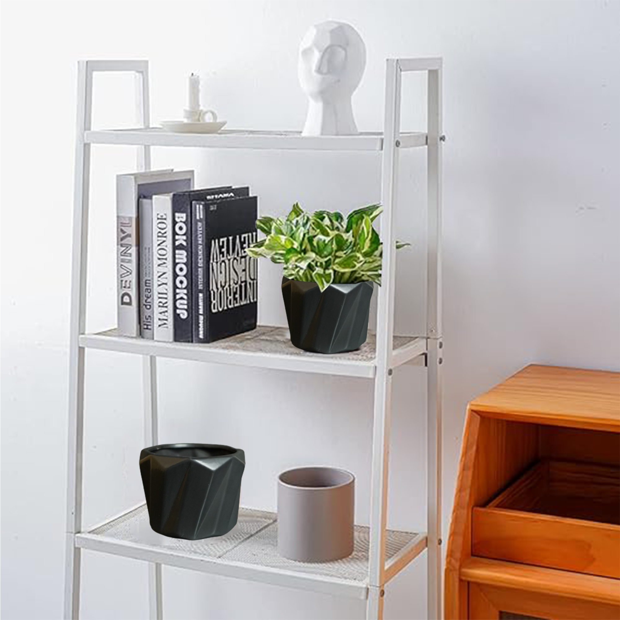 Ceramic Planter Pots-DIVERSITY