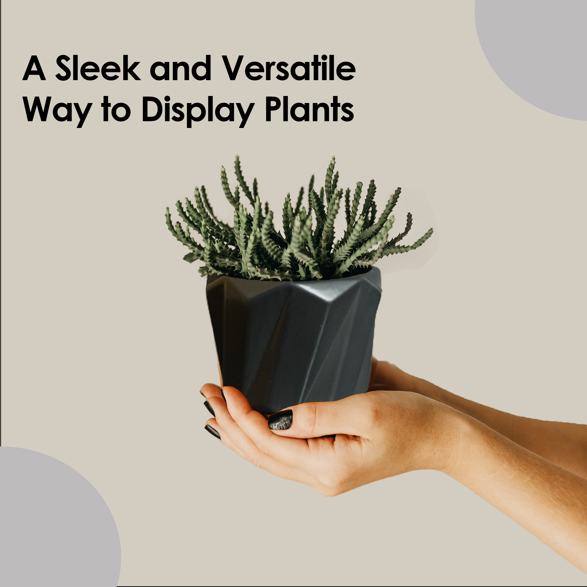 Ceramic Planter Pots-DIVERSITY