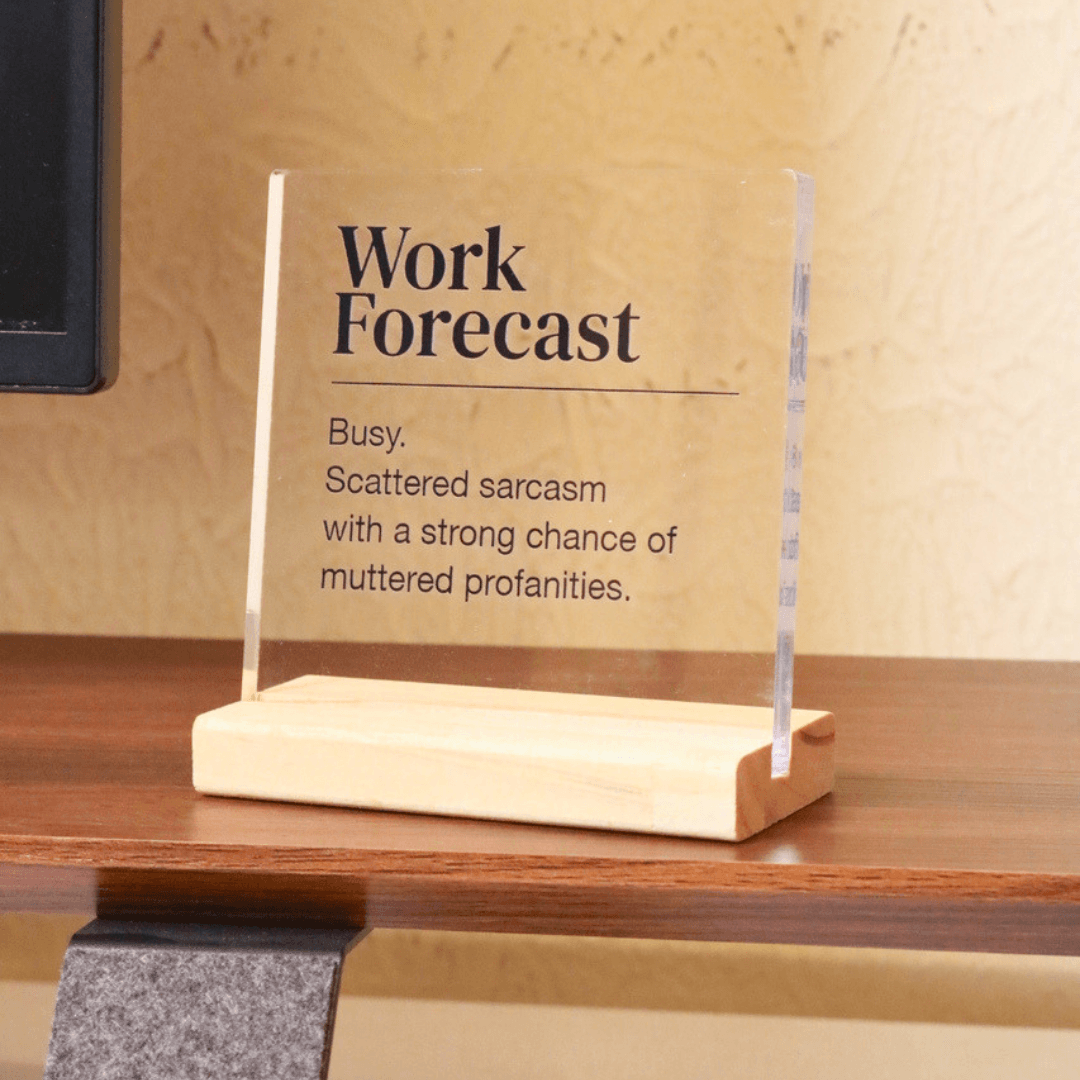 Funny Acrylic Office Desk Plaque