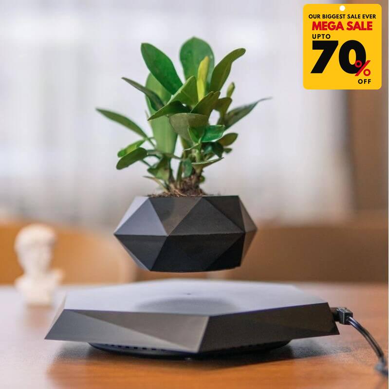 floating plant