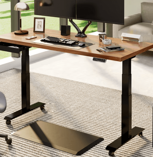FlexiSpot E7 - Dual Motor Premium Standing Desk With Black Frame