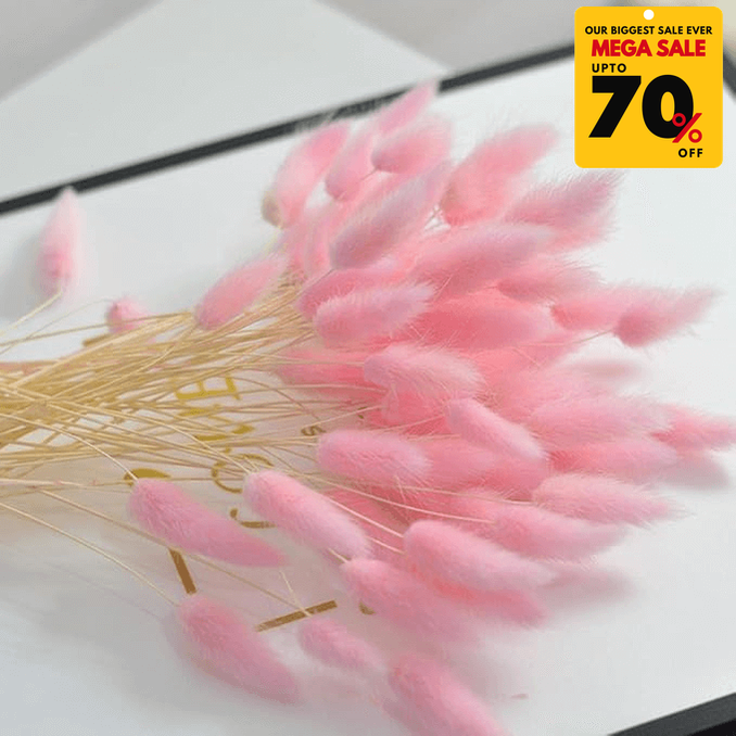 Natural Dried Fluffy Bunny Tails - SC 42