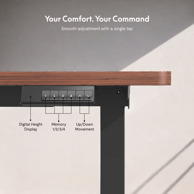 FlexiSpot E5 - Dual Motor 3-Stage Standing Desk