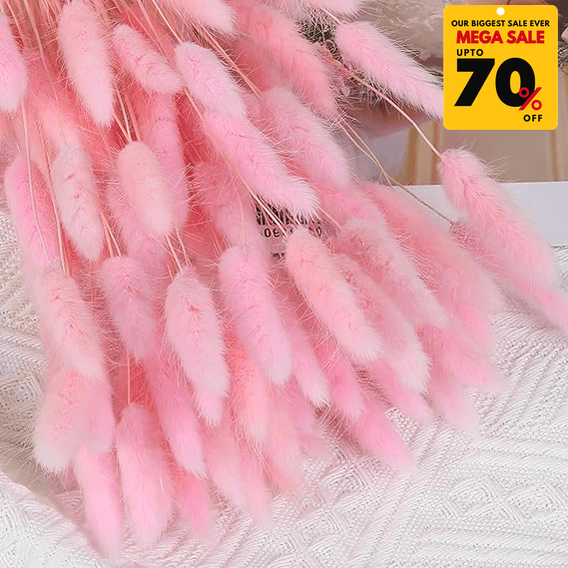 Natural Dried Fluffy Bunny Tails - SC 42
