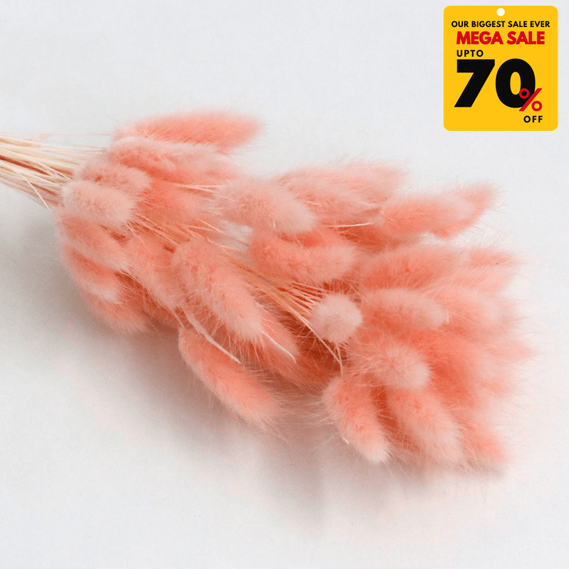 Natural Dried Fluffy Bunny Tails - SC 43
