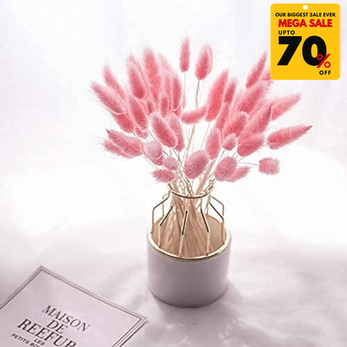 Natural Dried Fluffy Bunny Tails - SC 42