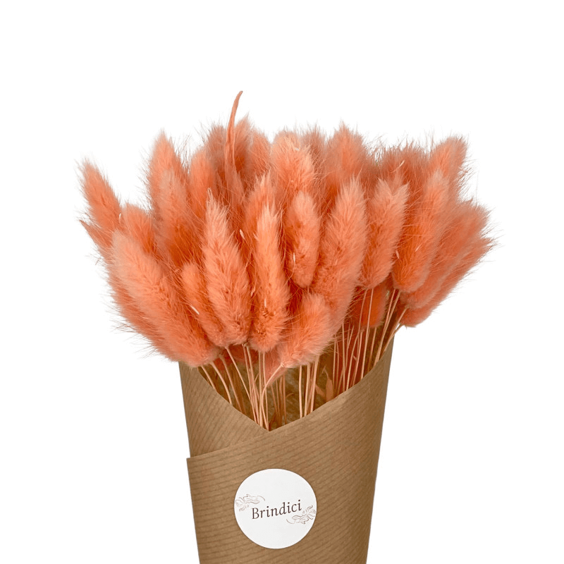 Natural Dried Fluffy Bunny Tails - SC 27
