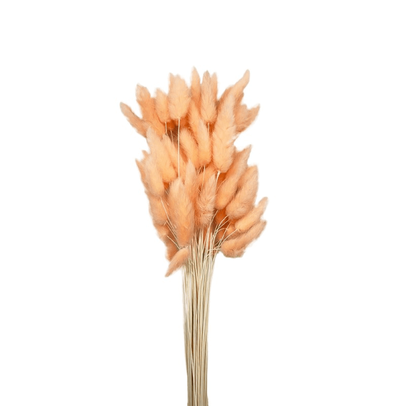 Natural Dried Fluffy Bunny Tails - SC 27