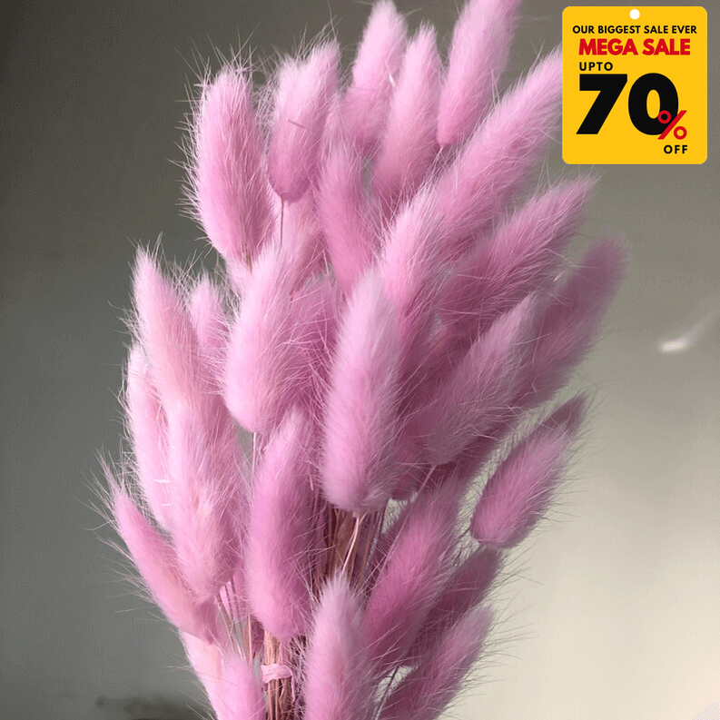Natural Dried Fluffy Bunny Tails - SC 44