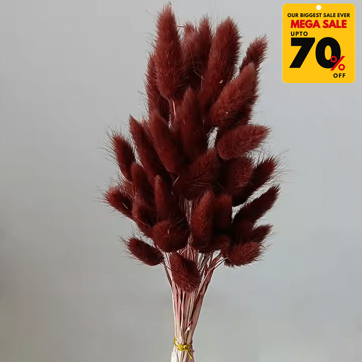 Natural Dried Fluffy Bunny Tails - SC 38
