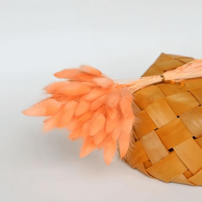 Natural Dried Fluffy Bunny Tails - SC 27