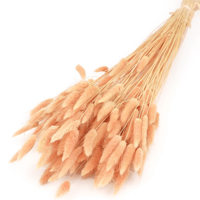 Natural Dried Fluffy Bunny Tails - SC 27