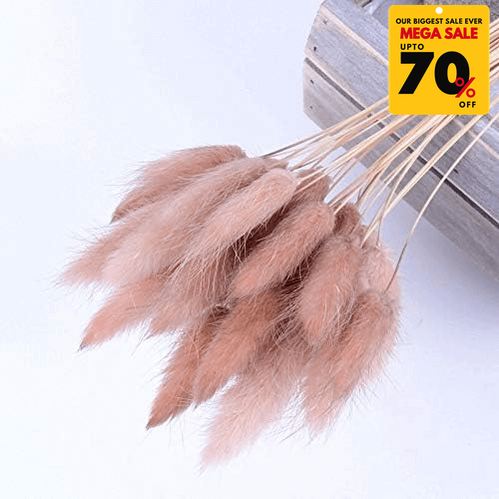 Natural Dried Fluffy Bunny Tails - SC 44