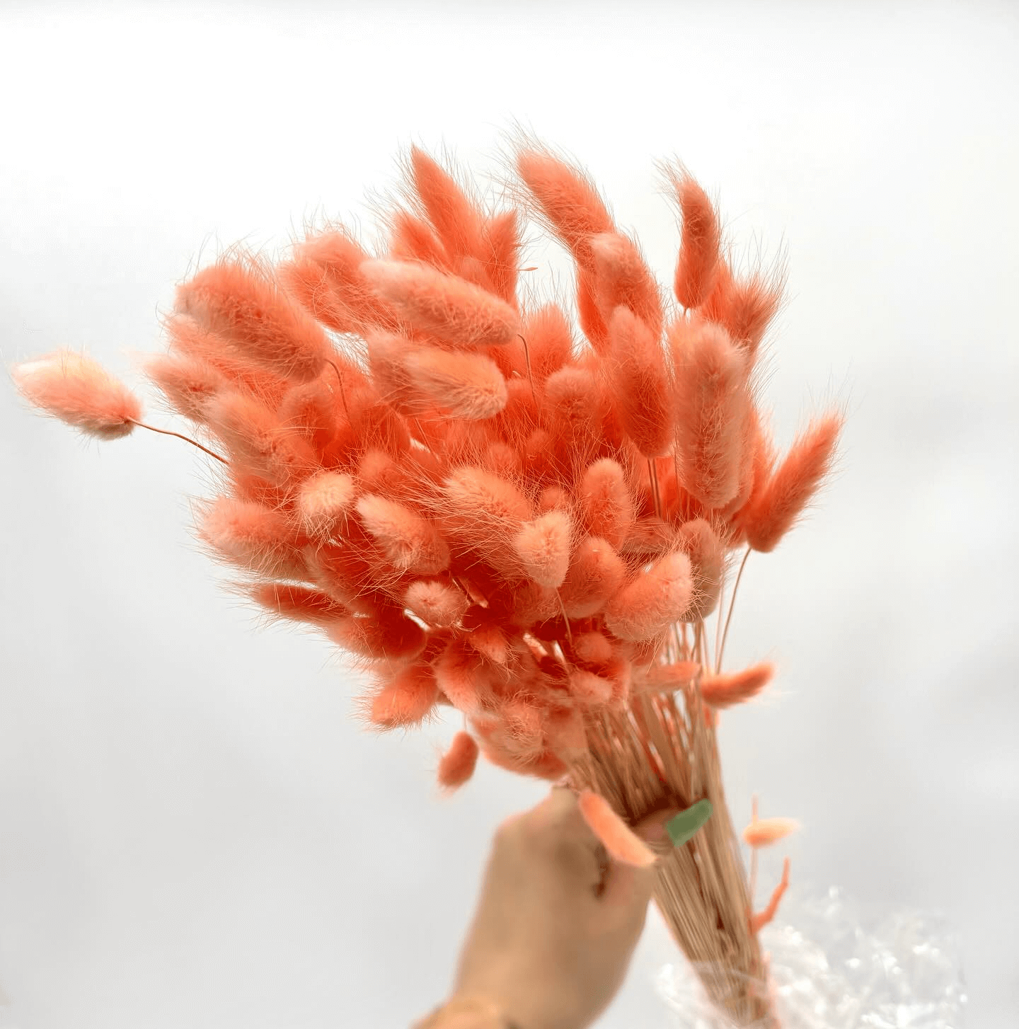 Natural Dried Fluffy Bunny Tails - SC 27