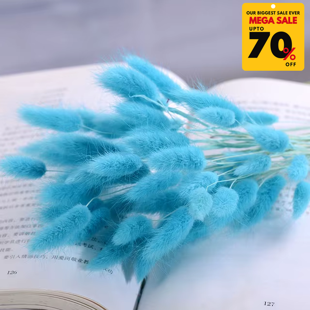 Natural Dried Fluffy Bunny Tails - SC 60