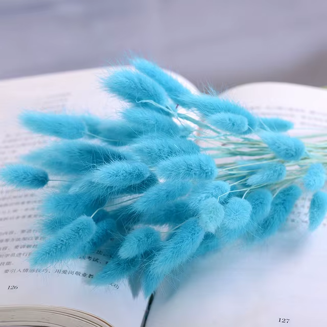 Natural Dried Fluffy Bunny Tails - SC 60