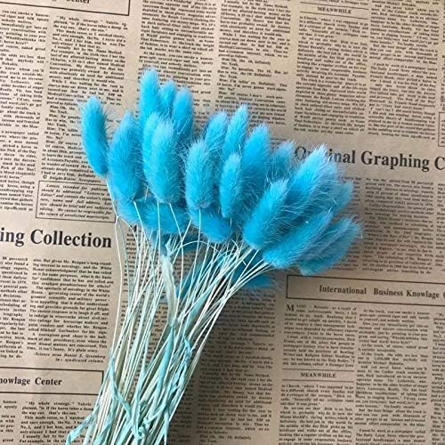 Natural Dried Fluffy Bunny Tails - SC 60