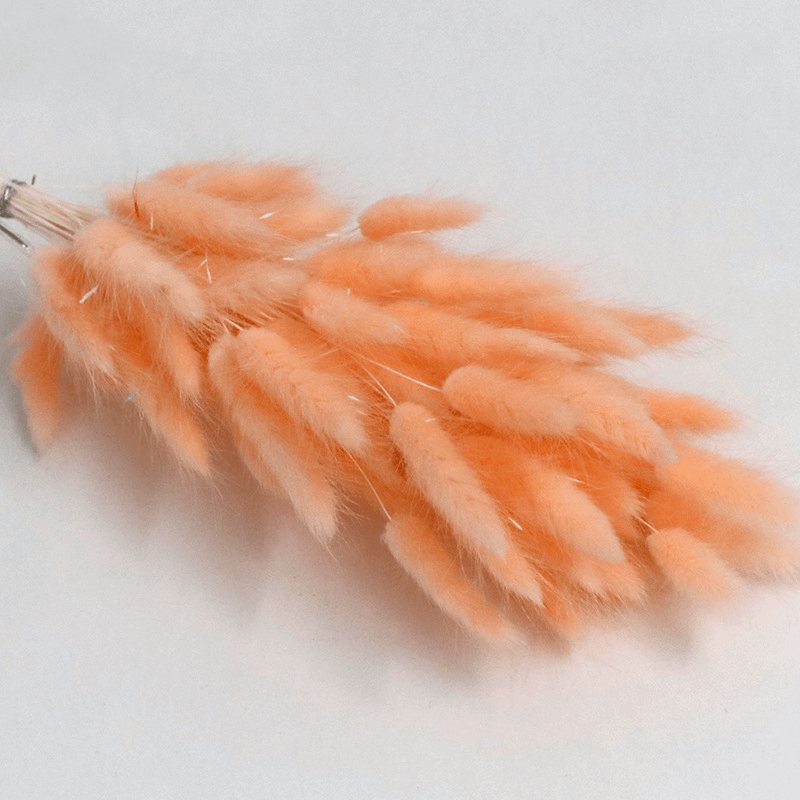Natural Dried Fluffy Bunny Tails - SC 27