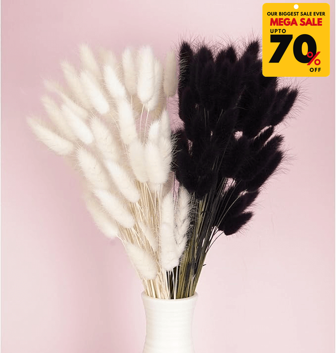 Natural Dried Fluffy Bunny Tails - SC Black
