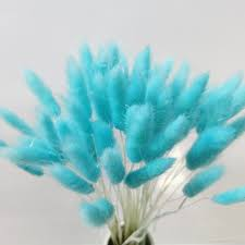 Natural Dried Fluffy Bunny Tails - SC 60