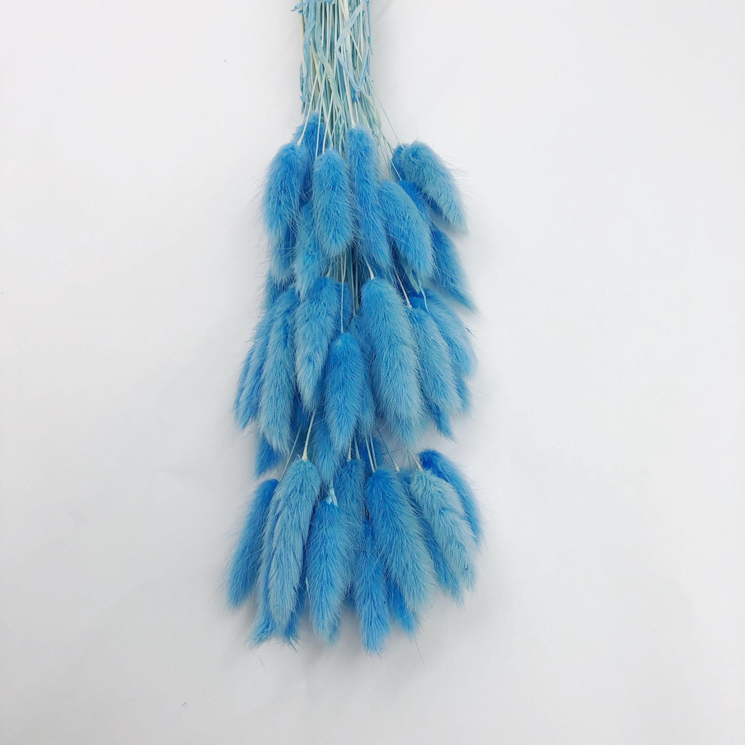 Natural Dried Fluffy Bunny Tails - SC 60